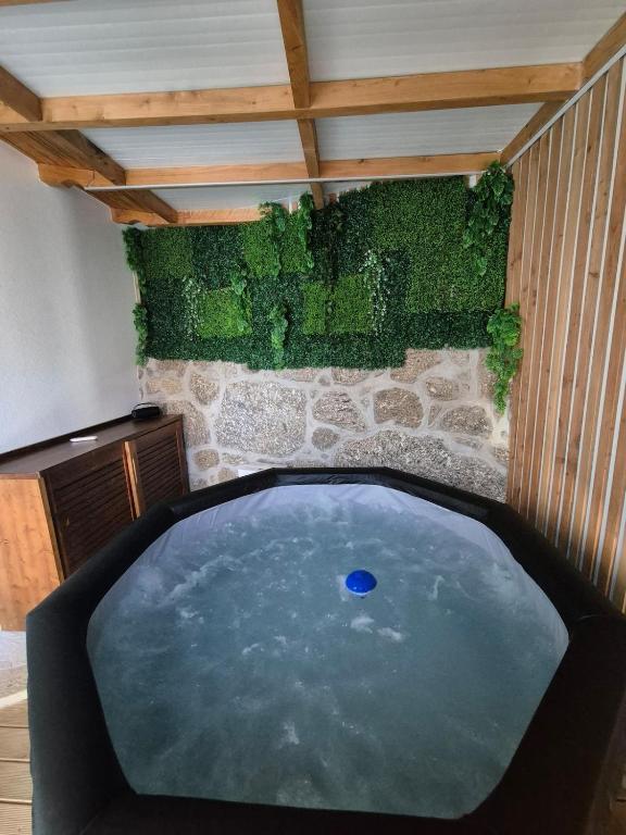 a large pool of water in a room with a ceiling at Casa da Mexieira em Ponte da Barca in Ponte da Barca