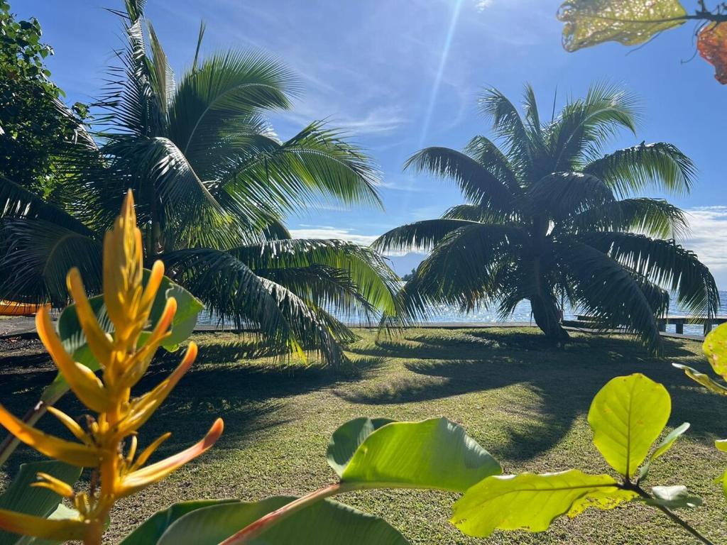 Maison au Bord de l'eau Tautira Beach House Waterfront House - photo 10 - Tahiti, Polynésie