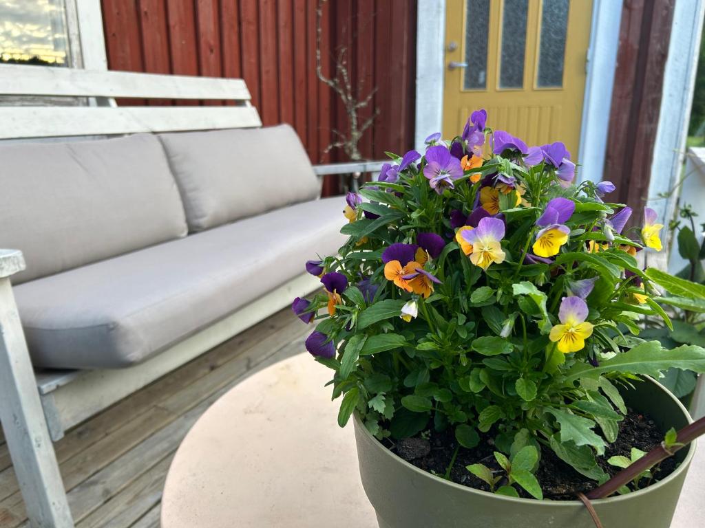 a pot of flowers sitting on a table on a porch at Farmstay Outdoor Old Hunters Cabin, 2p in Årjäng