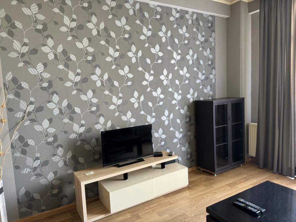 Cozy Rental Near Metro در تفلیس