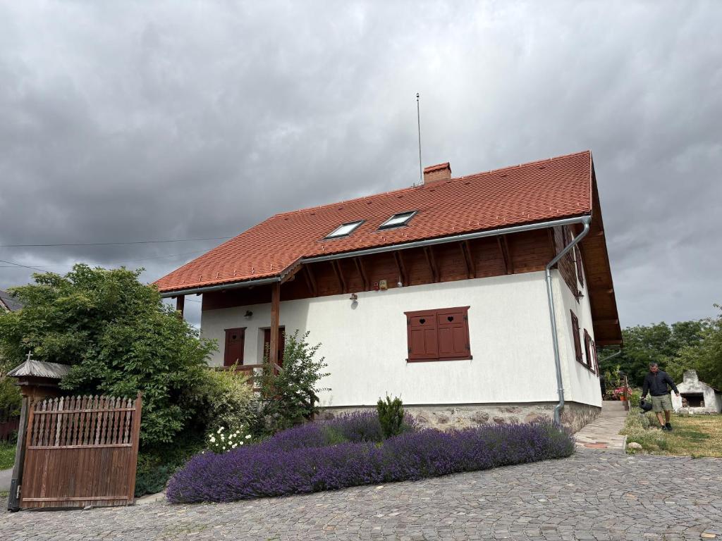 a small house with a red roof at Eszter Guesthouse in Sîncrăieni