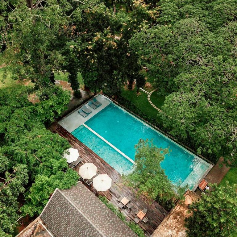 an overhead view of a swimming pool with umbrellas and chairs at Flora Creek Chiang Mai in Hang Dong