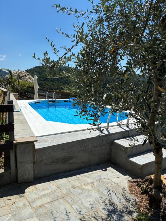 a swimming pool with a ramp next to a tree at Baita Chalet del Colle in Corsanico-Bargecchia