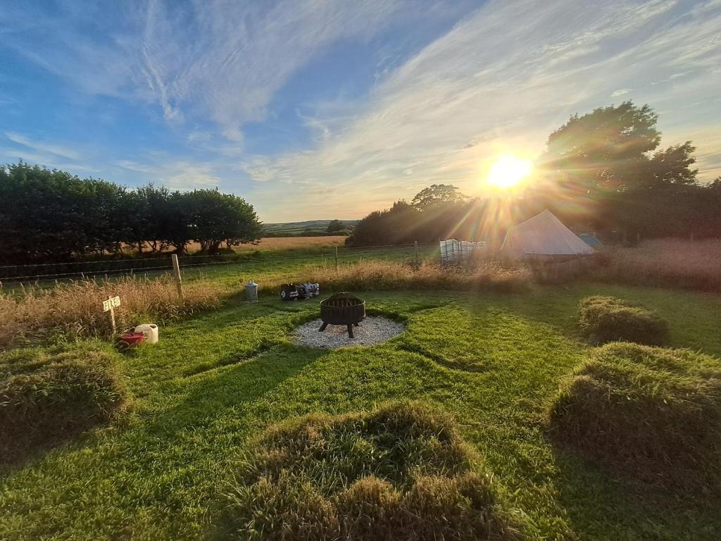 a sunset in a field with a cow in the grass at Maisie's Campsite in Bideford