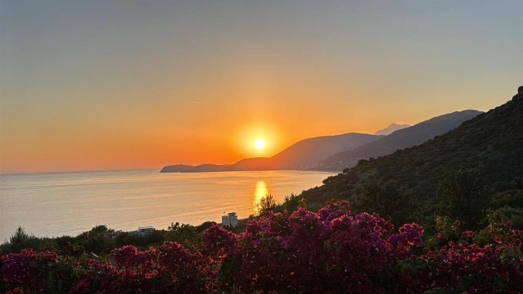 a sunset over a body of water with the sun setting at Monarch Beach in Borsh