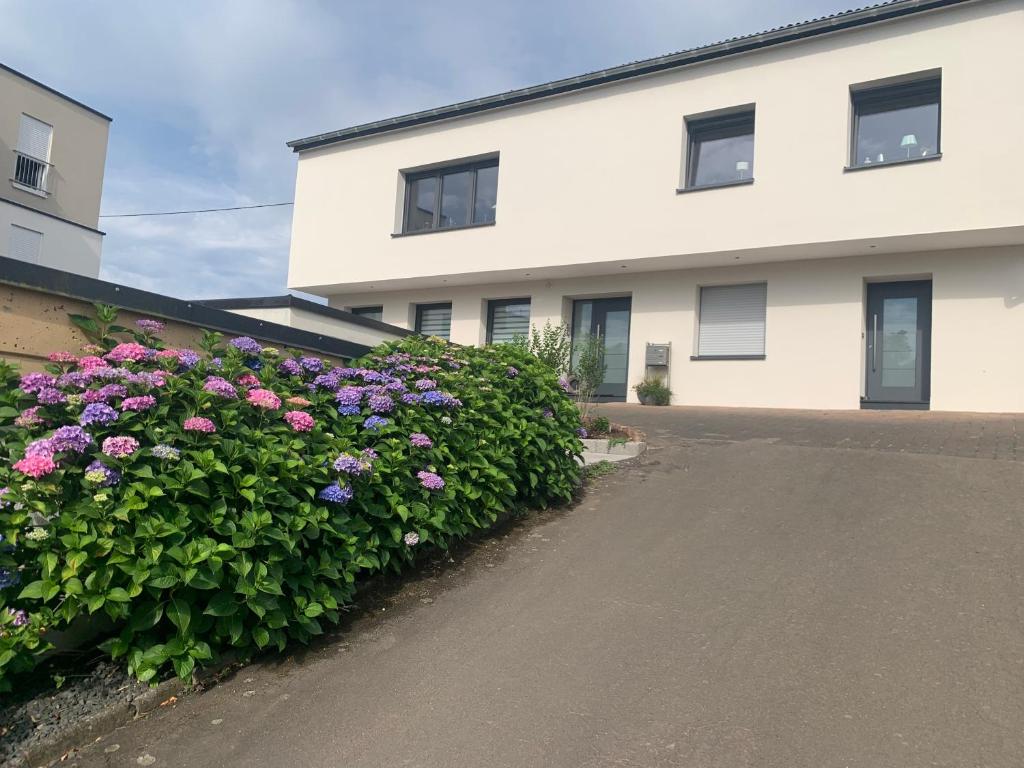 a white building with flowers in front of it at Eifelliebe in Bergweiler