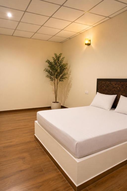 a white bed in a room with a potted plant at Jungle safari inn in Udawalawe