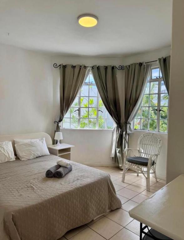 a bedroom with a bed and a large window at Appartement hibiscus in Grand-Baie