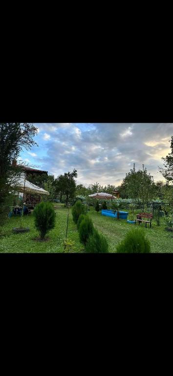a view of a park with trees and a bench at Otto's House in Ambrolauri
