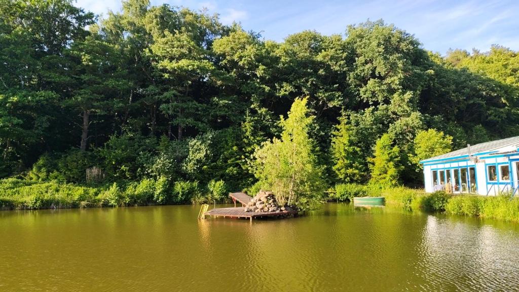 a small island in the middle of a lake at Kopuła in Gdynia
