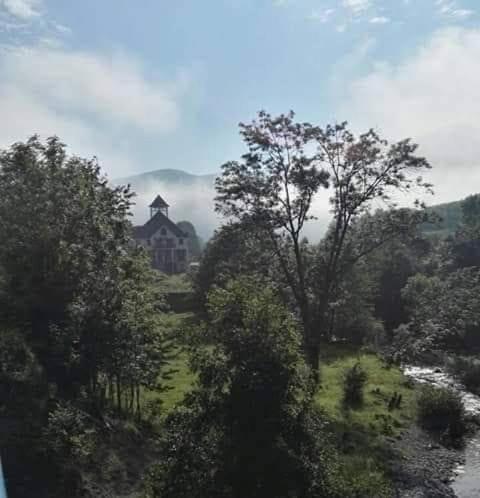 a house in the middle of a forest with trees at Djevojački Most in Kolašin