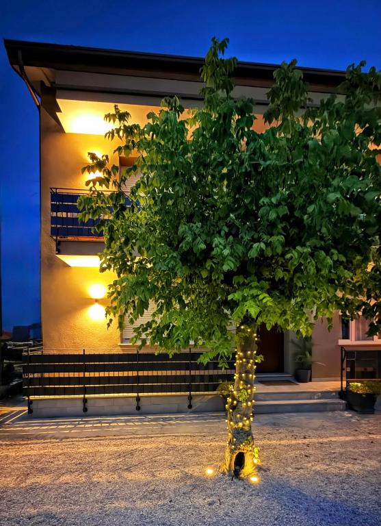a tree with lights in front of a building at Casa MaMi in Gatteo a Mare