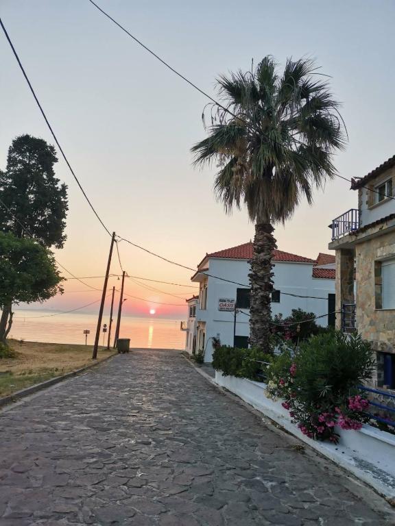 a street with a palm tree and a sunset at Oasis in Loutrópolis Thermís