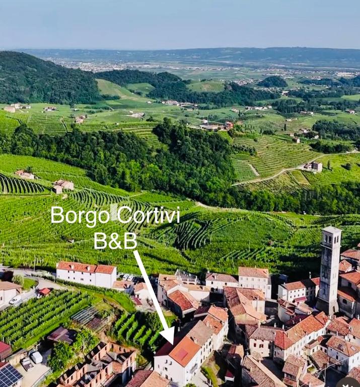 an aerial view of a small village in a vineyard at Borgo Cortivi b&b in Valdobbiadene