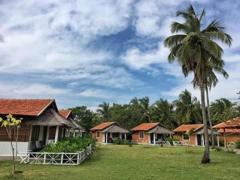 a row of houses with a palm tree at Kiteclub in Kalpitiya
