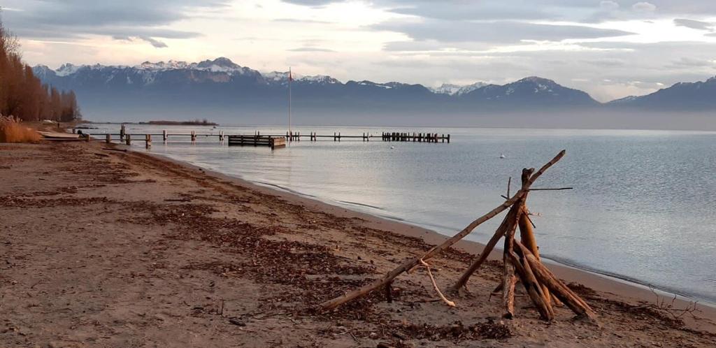 a beach with a pier in the middle of the water at Plage & Montagne - Appartement familial à proximité de la plage de Préverenges in Preverenges