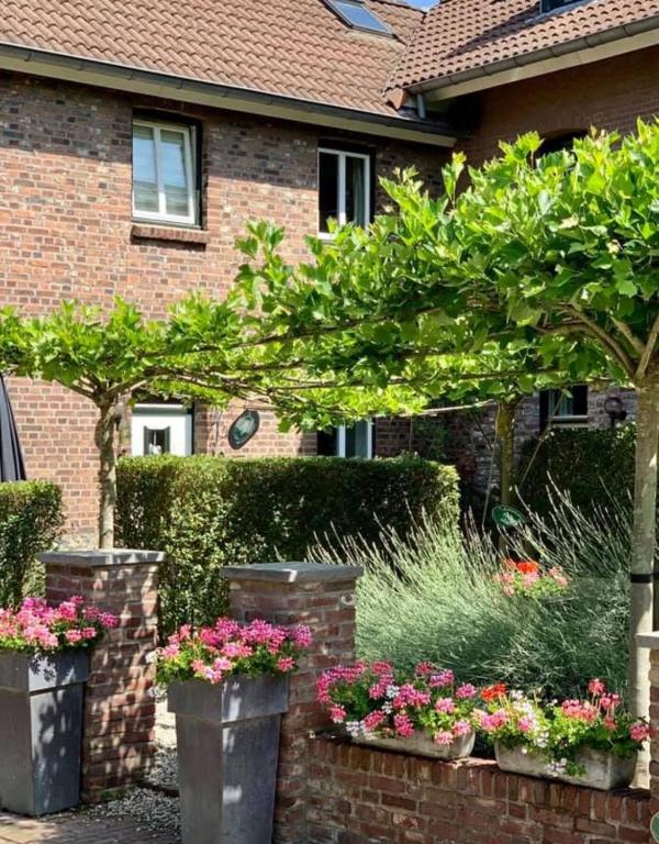 a garden with flowers in pots in front of a house at Schuttershuuske in Margraten