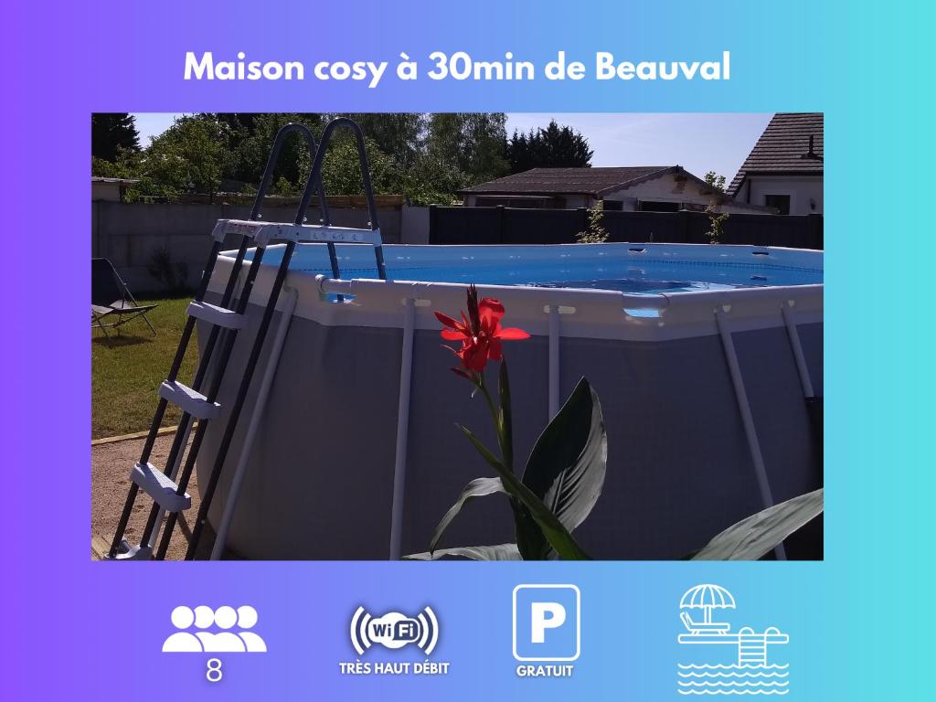 a flower on a ladder next to a swimming pool at Les Malvas in Romorantin