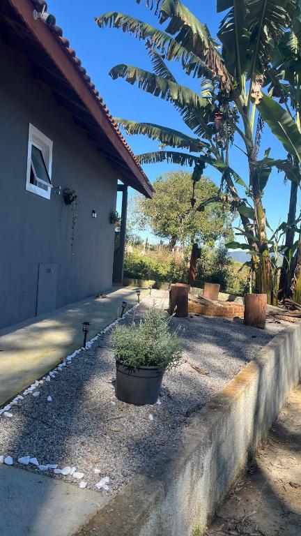 a house with a potted plant in front of it at Chalé com lareira externa e vista para o Pico do Lopo in Extrema