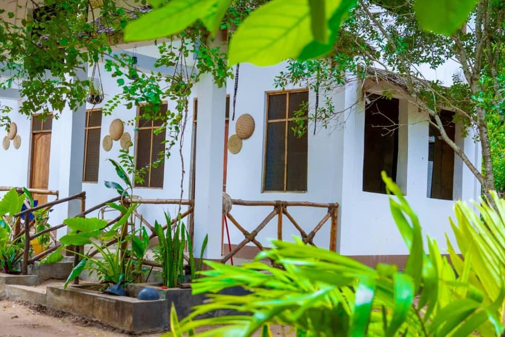 a house with green plants in front of it at Ecokayak Beach Lodge in Zanzibar City