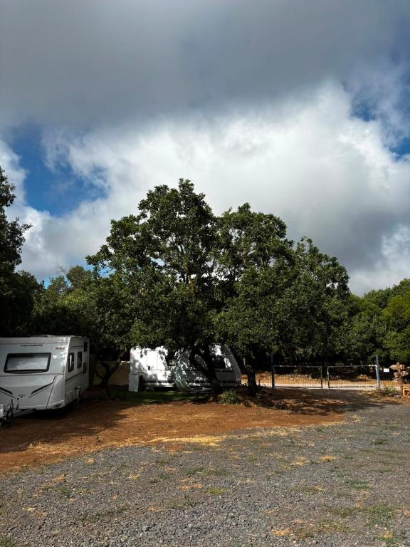 an rv parked next to a tree and some trees at קרוואן עם חיוך in Odem