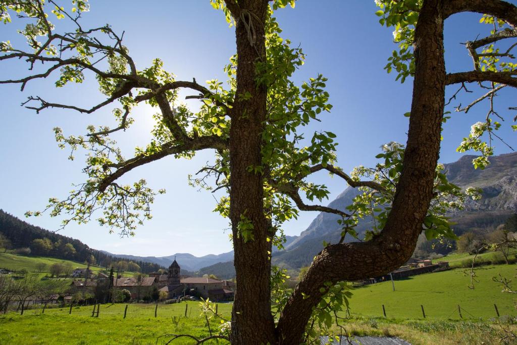 a tree with a green field and mountains in the background at Tailer-Txiki in Apatamonasterio