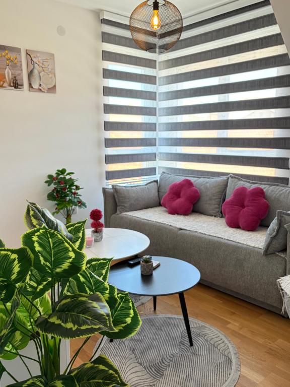 a living room with a gray couch with red pillows at Jefimija Apartman Sokobanja in Soko Banja