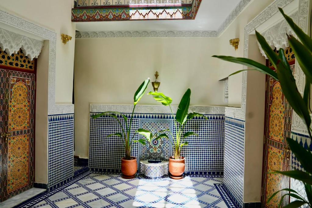 a room with potted plants on a tiled floor at Riad Chouara in Fez