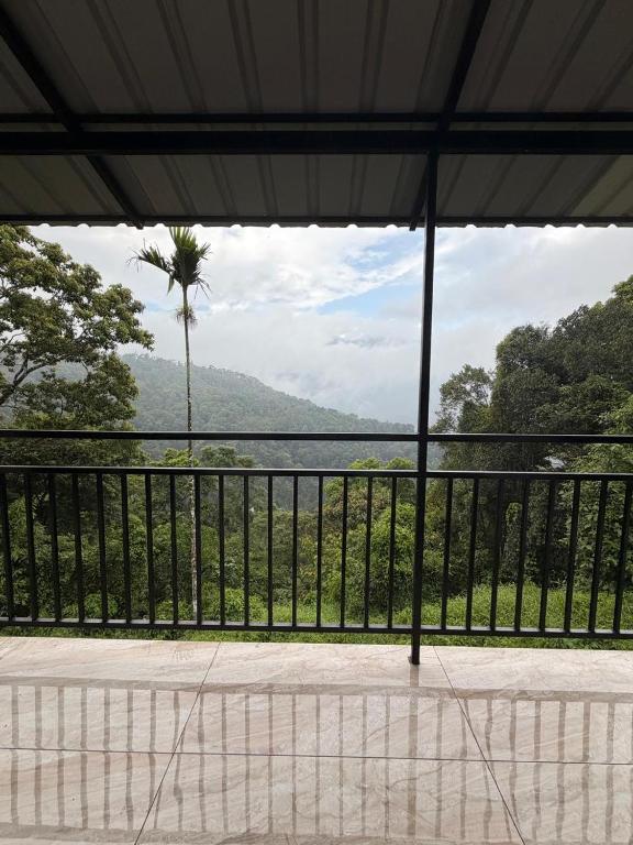 a balcony with a view of the ocean and a palm tree at Willow Nest in Anachal