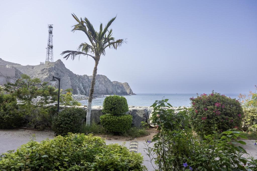 a beach with a palm tree and the ocean at Bloomfields 2BR+Maid in Mina Fajer - Fujairah in Fujairah