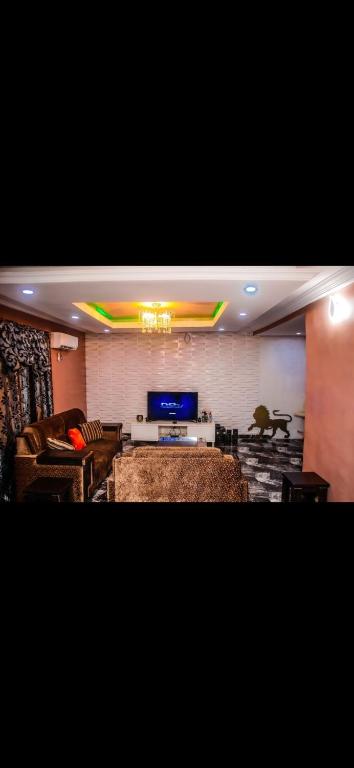 a living room with couches and a flat screen tv at Mo Exortic Royale Services in Ikorodu