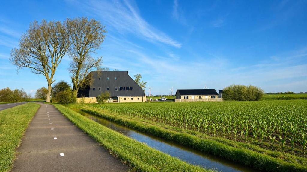 Eine Straße neben einem Feld mit einem Haus und einem Baum in der Unterkunft Vakantie appartementen Sylsicht in Sexbierum