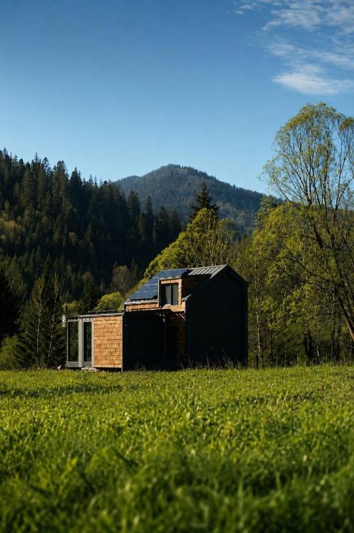 a small house in a field in a field of grass at Tysha in Tatariv