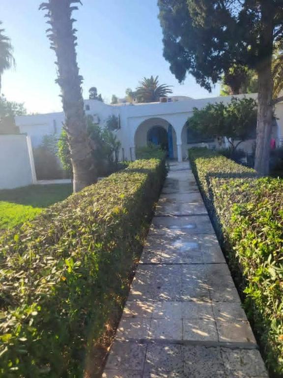 a walkway in front of a house with trees at summer kif in Nabeul
