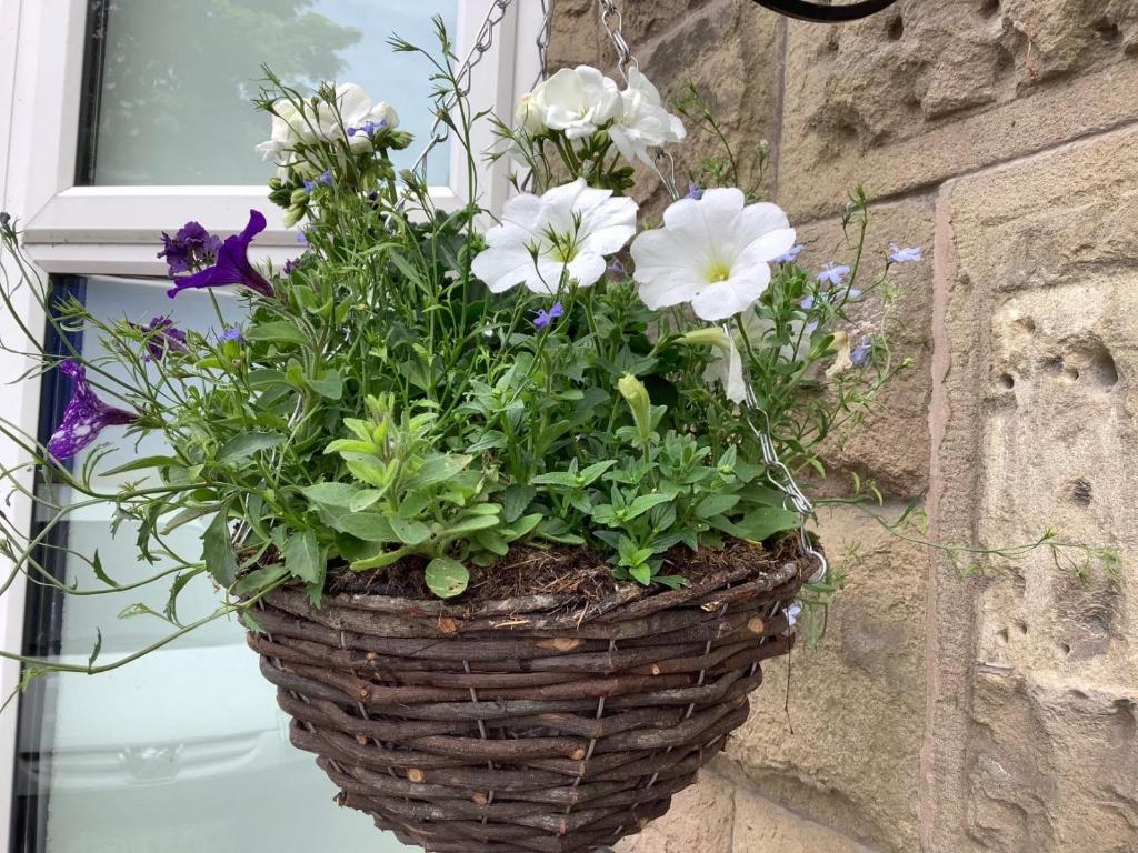 a basket of flowers hanging on a wall at Derbyshire House Apartment 3 - Cavendish in Buxton