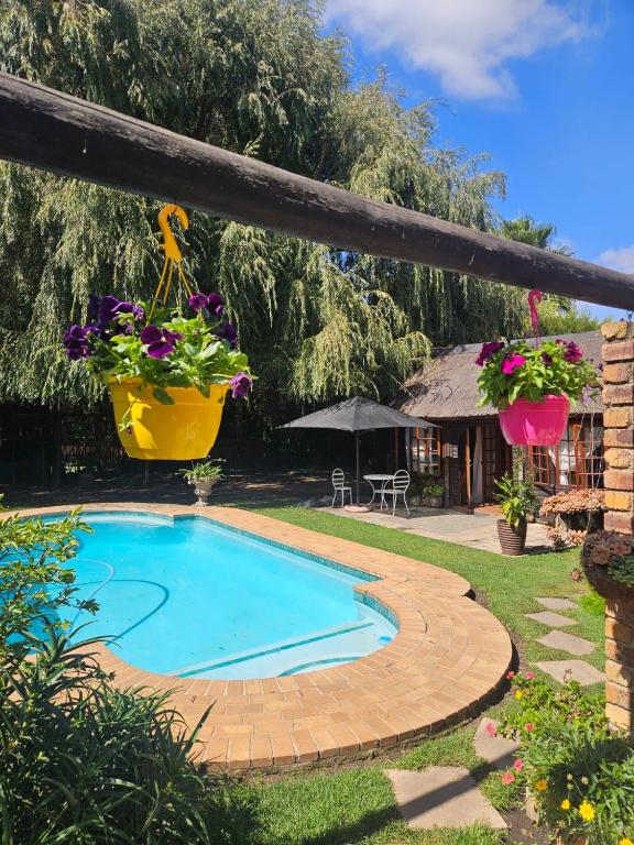 a swimming pool in a yard with potted plants at Midrand Manor Guesthouse in Midrand