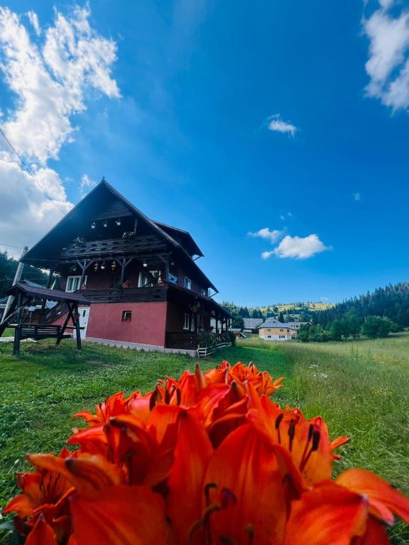 a pile of orange flowers in front of a building at Cabana Adelin in Dobreşti