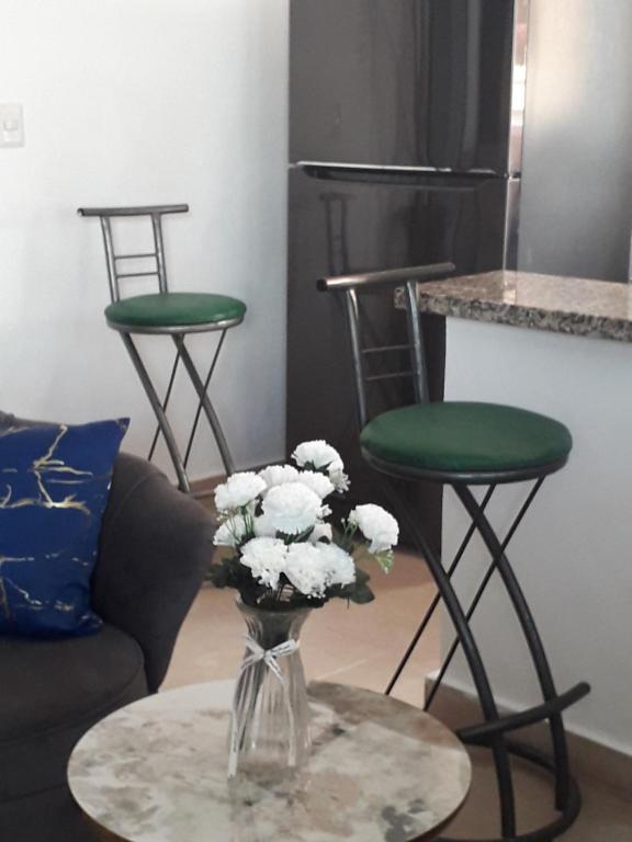 a vase with flowers on a table in a living room at SDQ apartamentos in Cancino