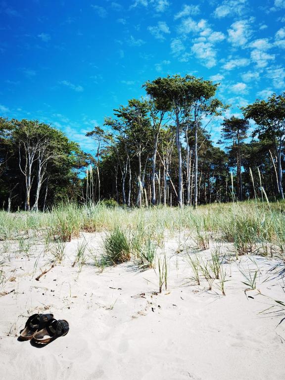 a pair of shoes laying in the sand on a beach at Haus am Prerow-Strand in Prerow