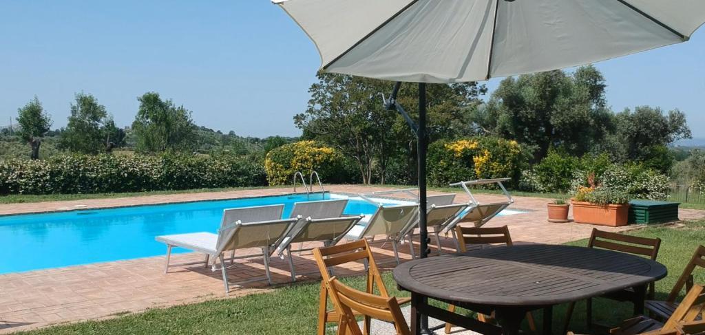 a table with an umbrella next to a swimming pool at Tenuta di Collestretto in Stazzano Nuovo