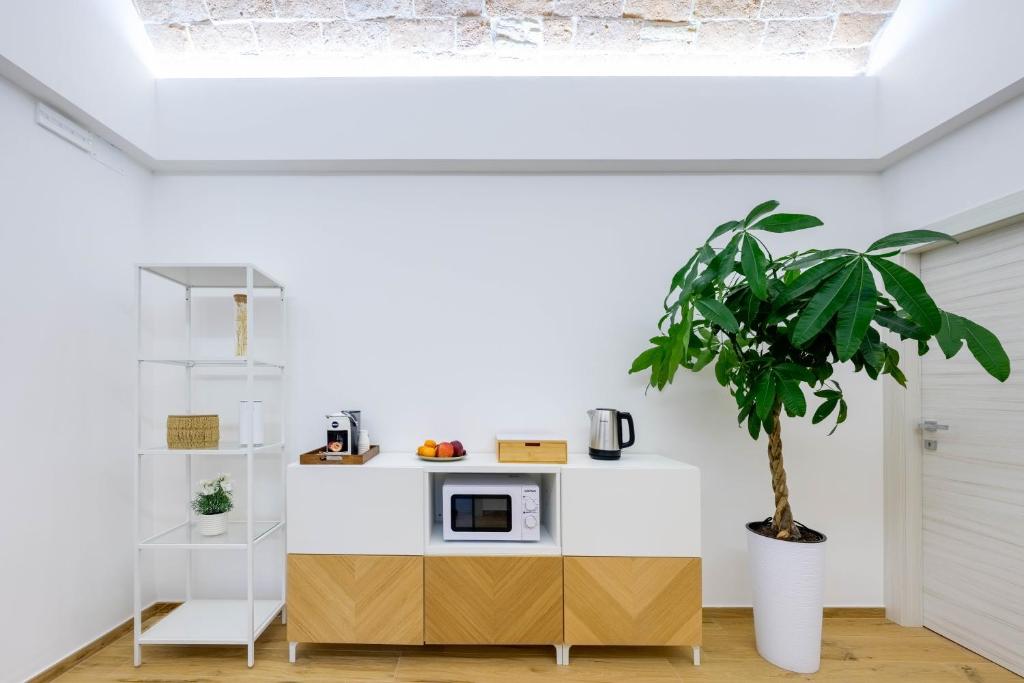 a plant in a white room with a microwave at Domio - Residenza del Corso in Atri