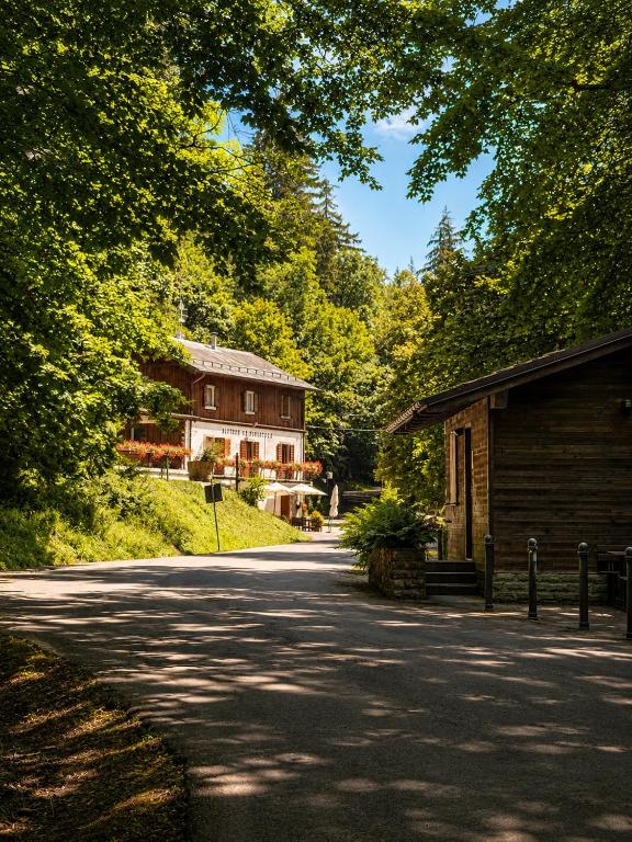 a road in front of a house with trees at Albergo Ristorante Lo Scoiattolo in Campigna