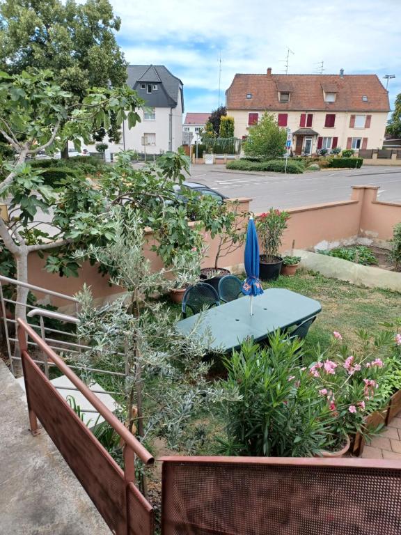 Le figuier de francesca – photo 14