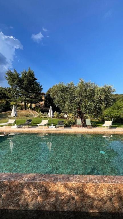 a pool of water with some chairs and trees at Villa Al Sicomoro in Grezzana