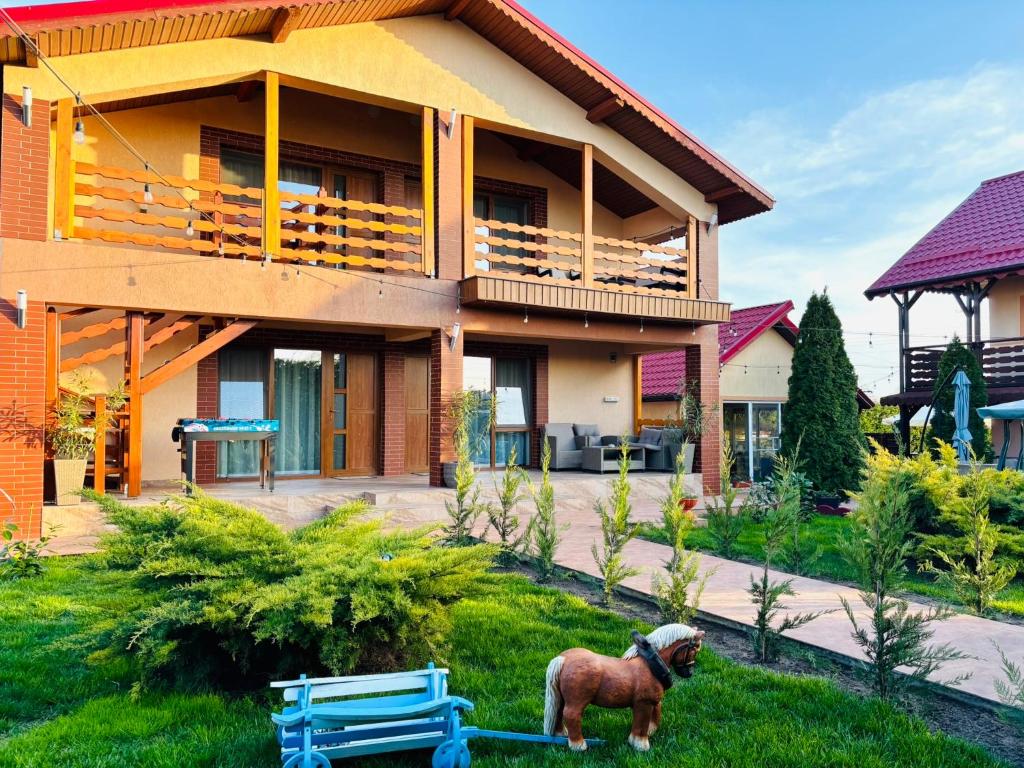 a dog standing in the grass in front of a house at Casa Maruska in Murighiol