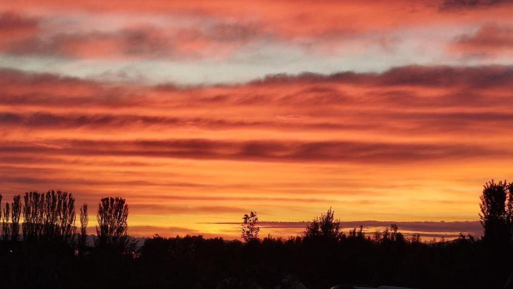a sunset with trees and clouds in the sky at Тайыз Кол in Tossor