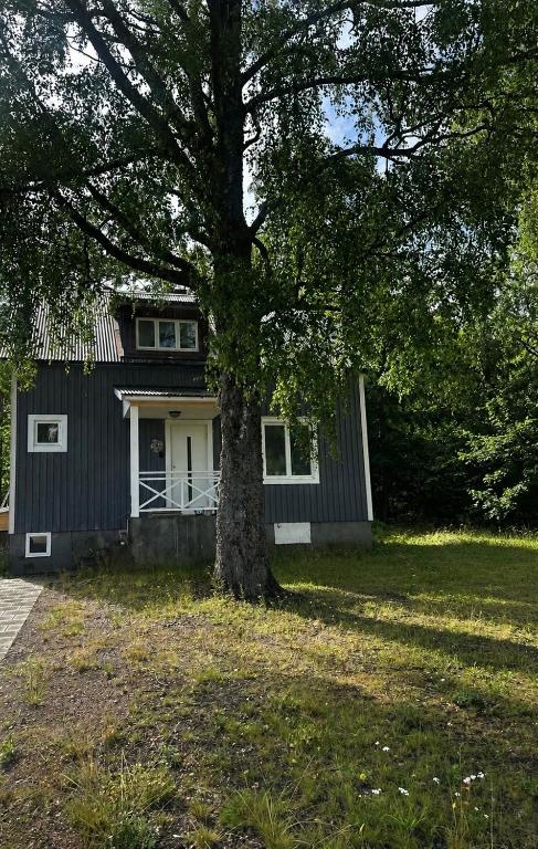a house with a tree in front of it at Retro hus in Kosta