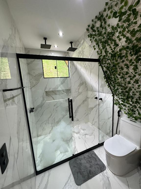 ein Badezimmer mit Glasdusche und Toilette in der Unterkunft Chalé Time stop in Cachoeiras de Macacu