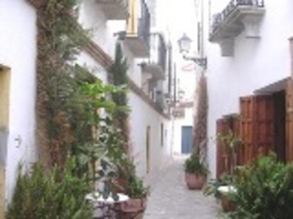 an alley with potted plants on the side of a building at Livingtarifa Apartamento Maui in Tarifa