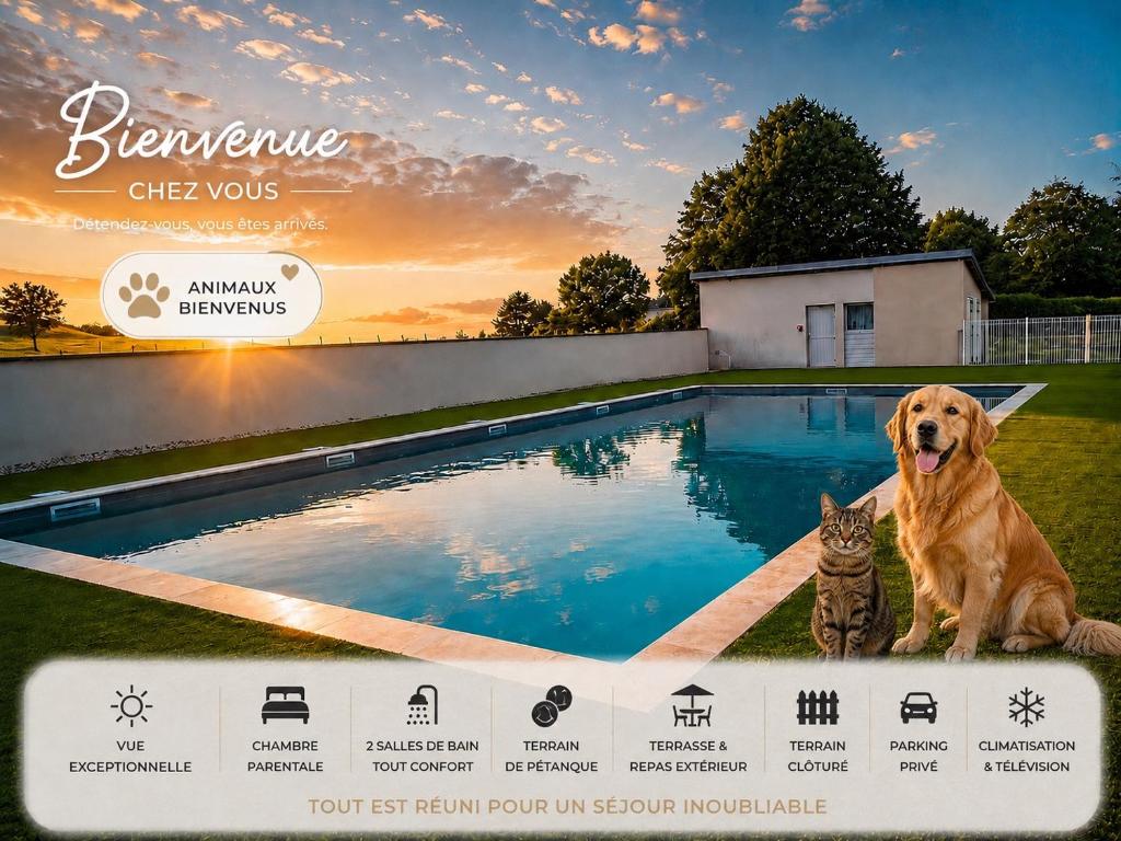 a dog and a cat sitting next to a swimming pool at Le Chalet Bellevue, Vue Panoramique, Piscine et Clim in Ayen